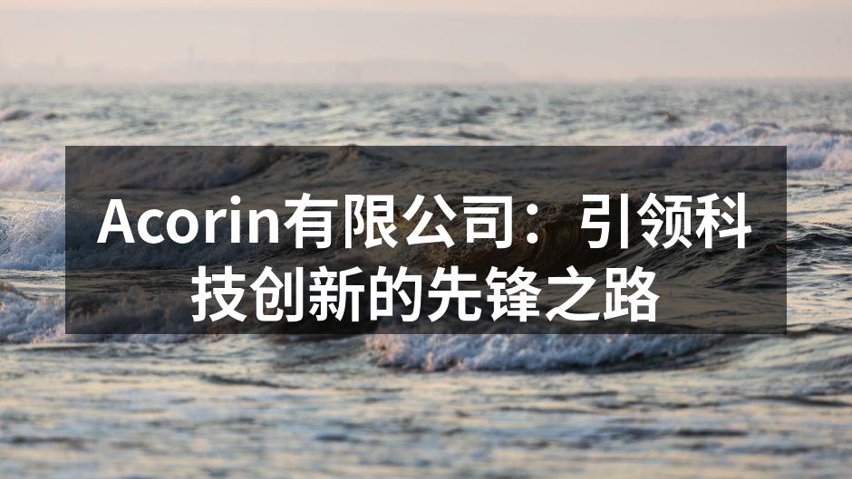 Acorin有限公司：引领科技创新的先锋之路
